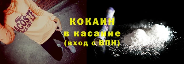 прущие грибы Армянск