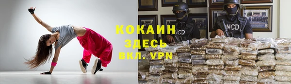прущие грибы Армянск