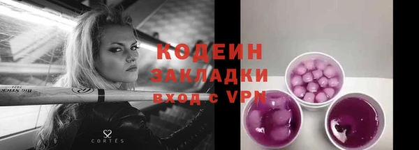 прущие грибы Армянск