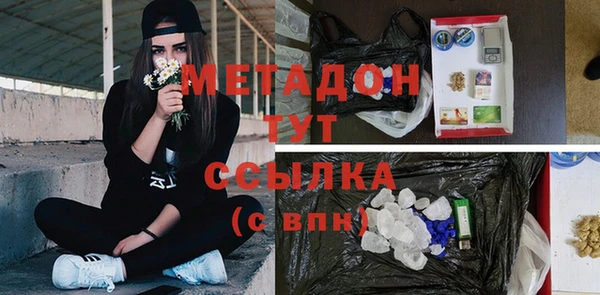 прущие грибы Армянск