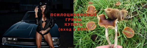 марки nbome Покачи