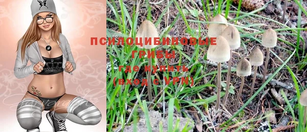 бошки Алексин