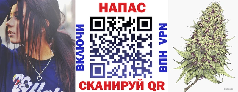 как найти   Одинцово  Марихуана планчик 